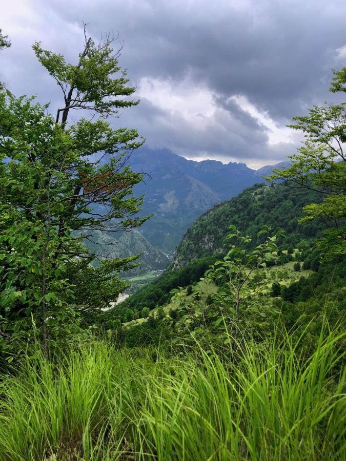 Guesthouse Pashko 泰斯 外观 照片